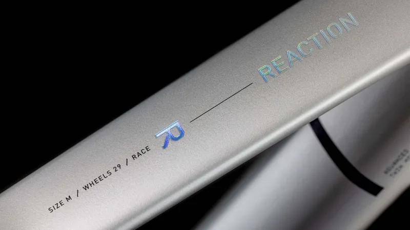 Cube Reaction c:62 Race Mountain Bike in Sleek Grey/Prism-2